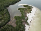 Aerial view of a coastal area with green vegetation and clear waters.