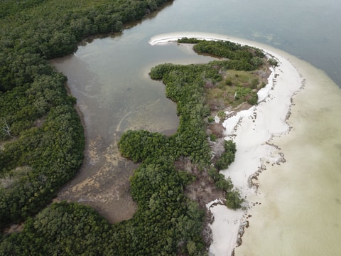 Aerial view of a coastal area with green vegetation and clear waters.