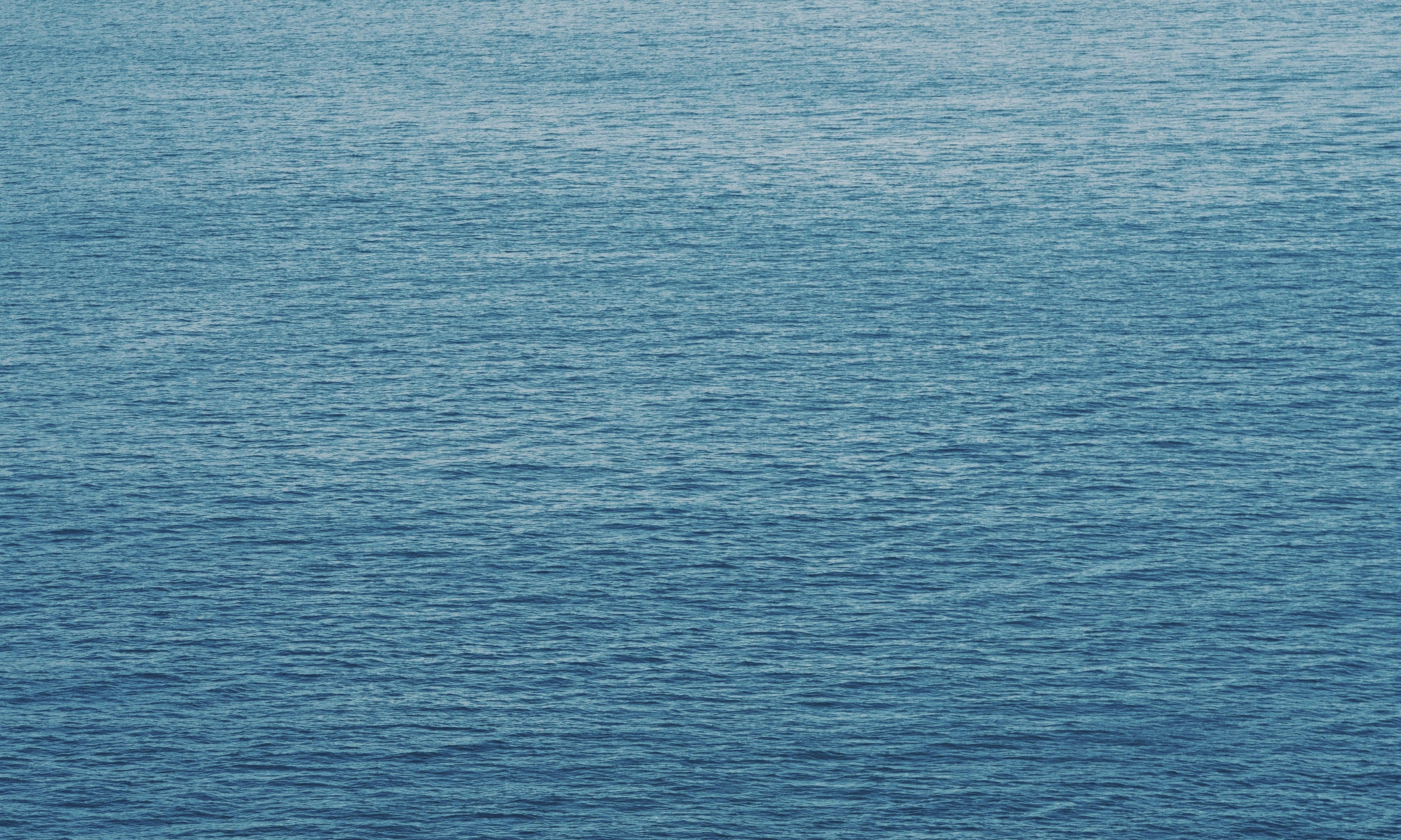 Teleprompter in action