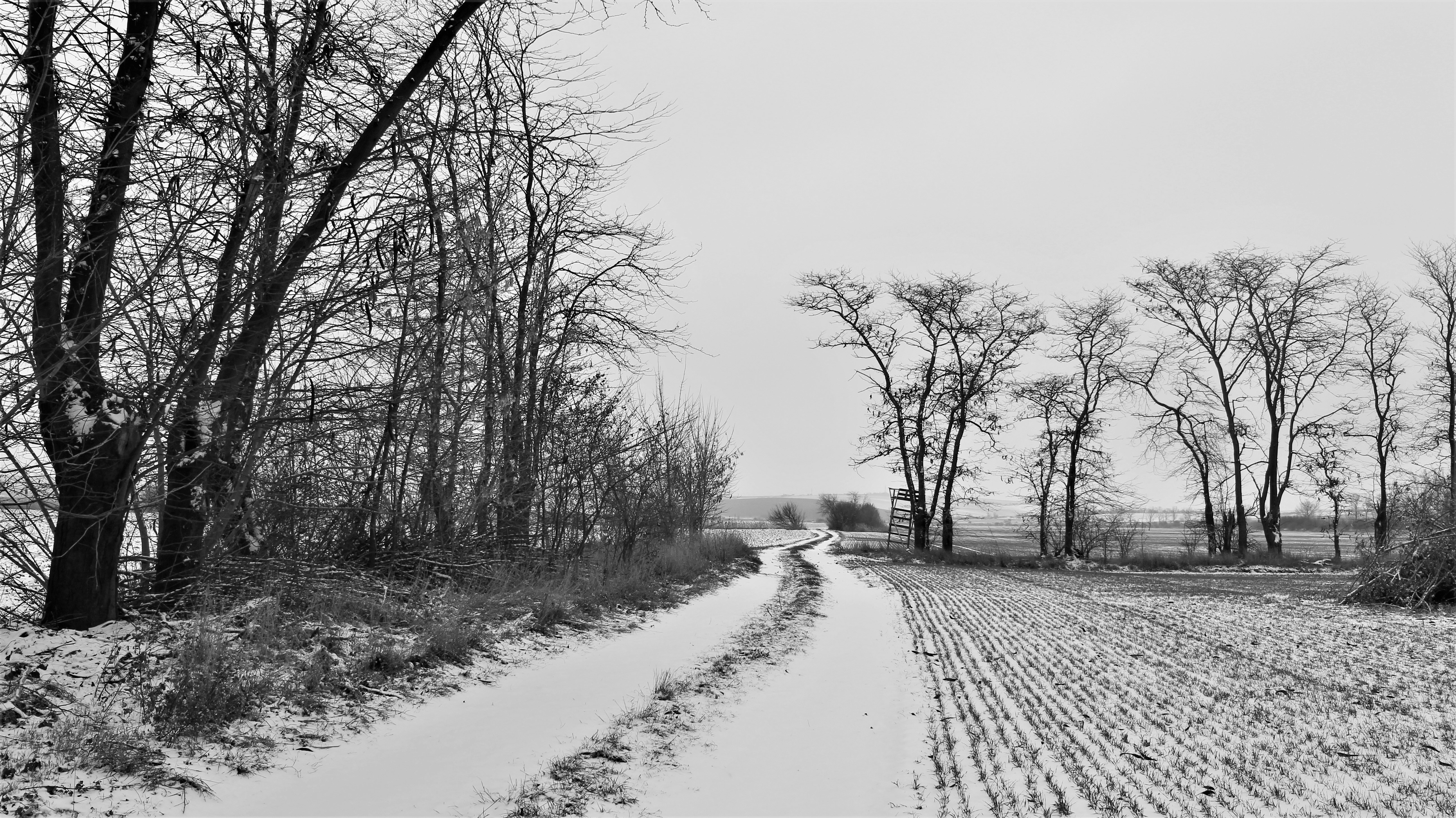 Photo by marjorylucabaxter