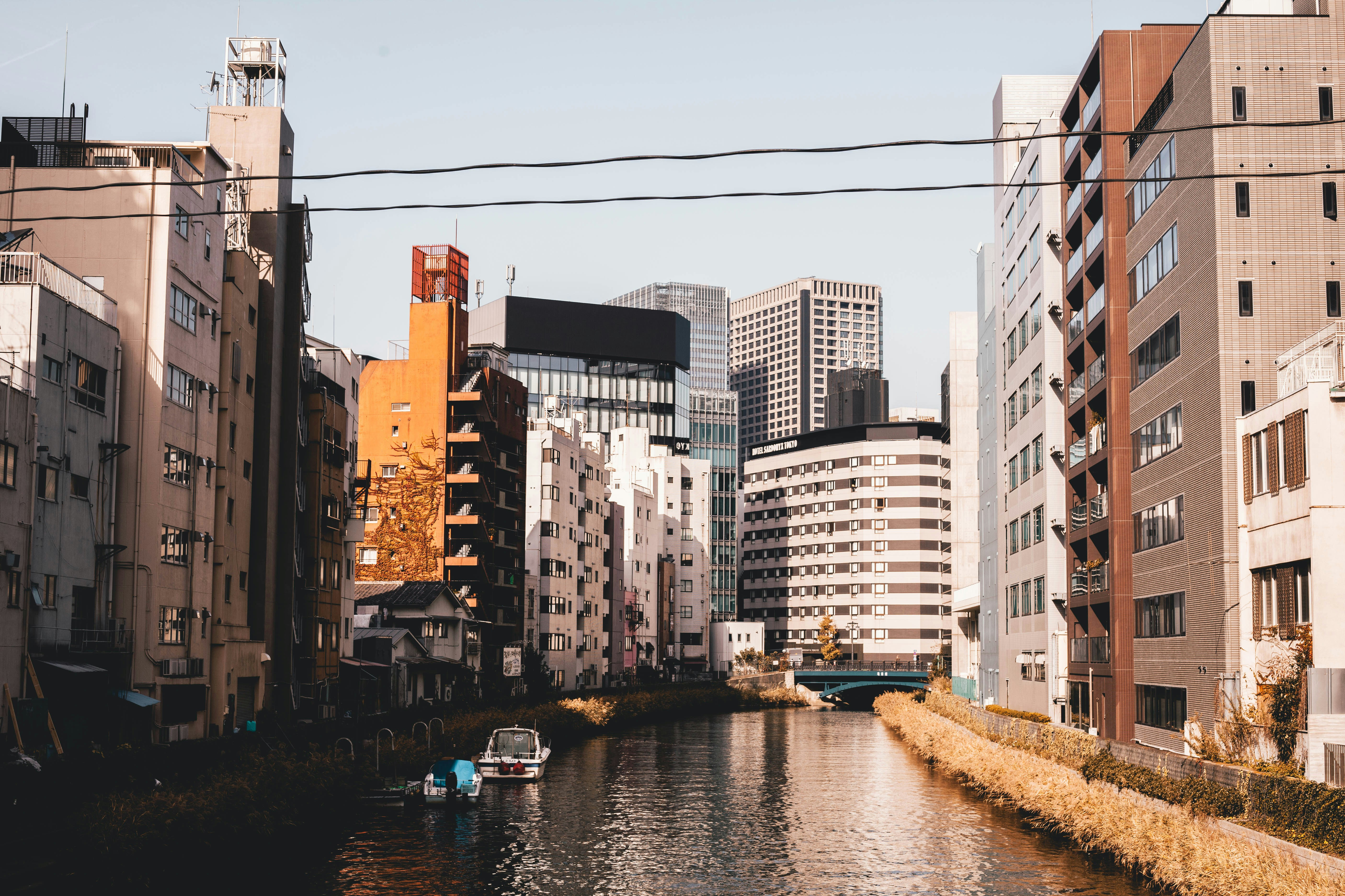 Photo by charlespostiaux