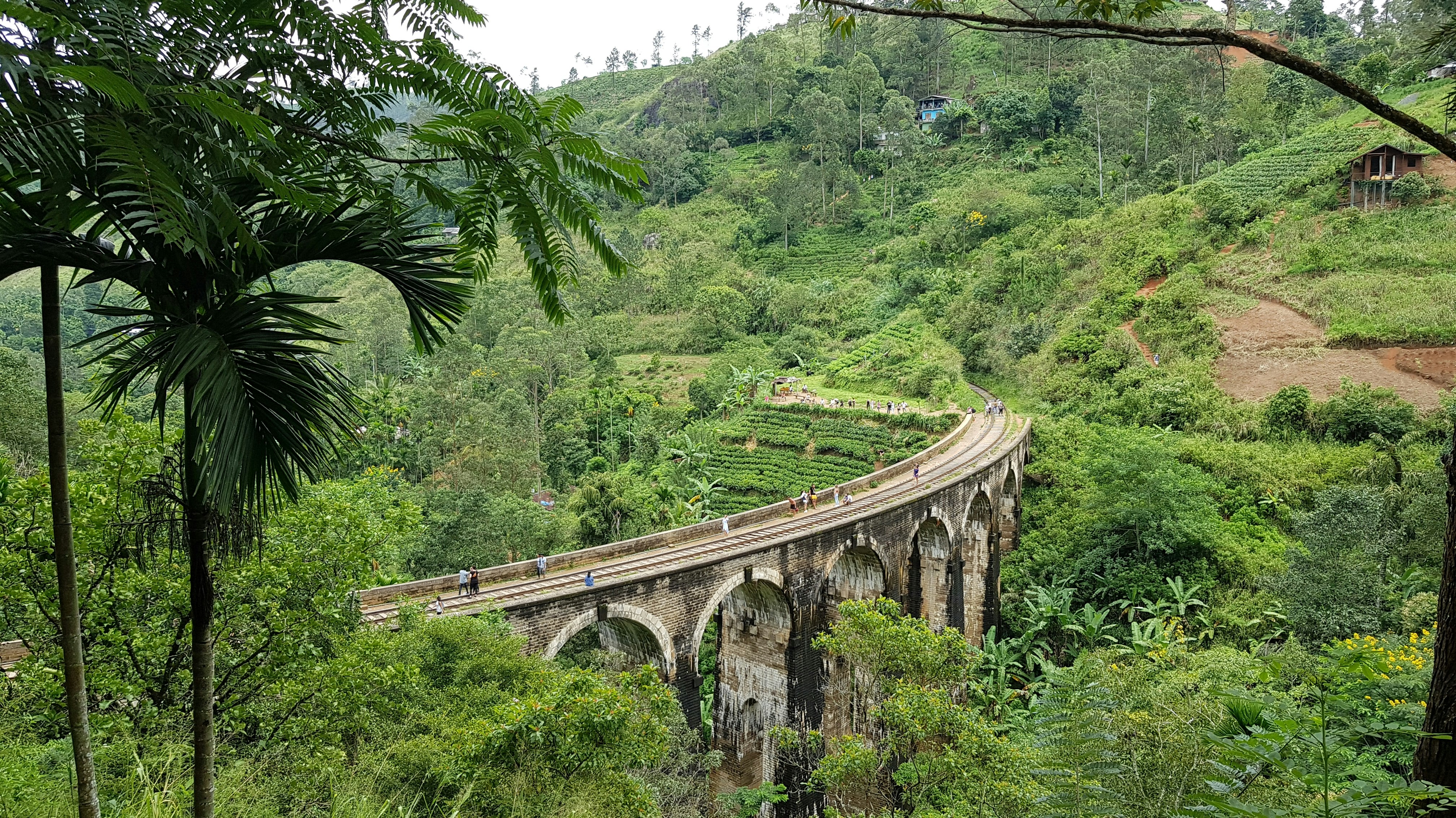 landscape photography of bridge