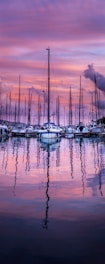 harbor during golden hour