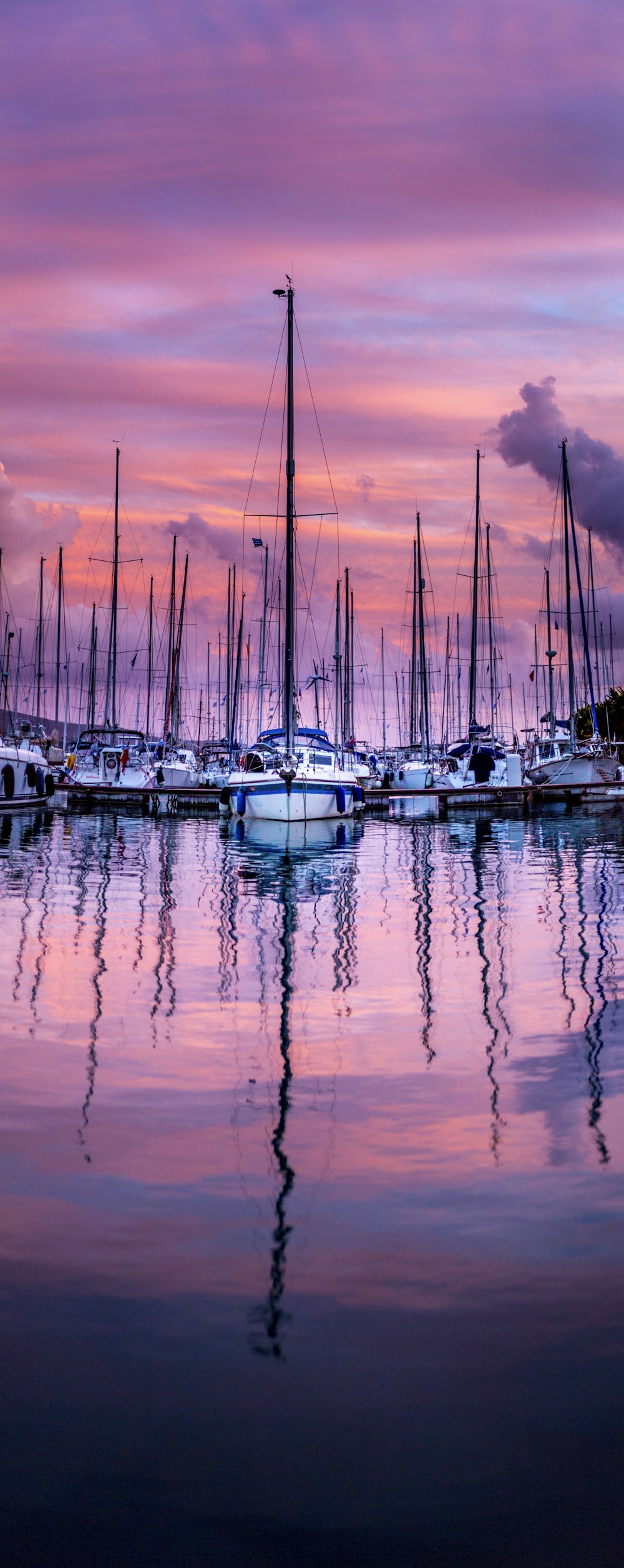 harbor during golden hour