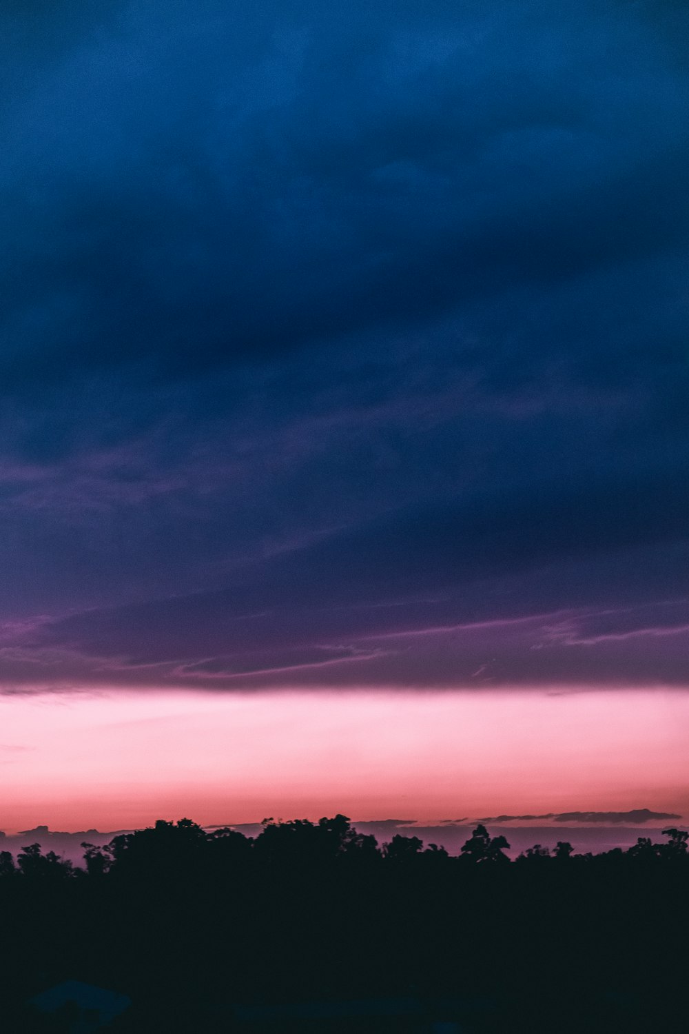 silhouette of tree under black cloud during golden hour