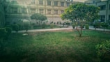 A well-maintained courtyard featuring lush green grass and neatly trimmed bushes. A concrete pathway divides the area, bordered by several trees offering shade. In the background, there is a multi-story building with a grid-like pattern on its facade and multiple windows.
