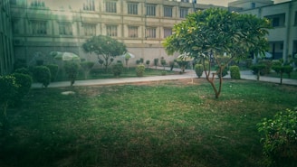 Common green courtyard area with benches and plants for residents.