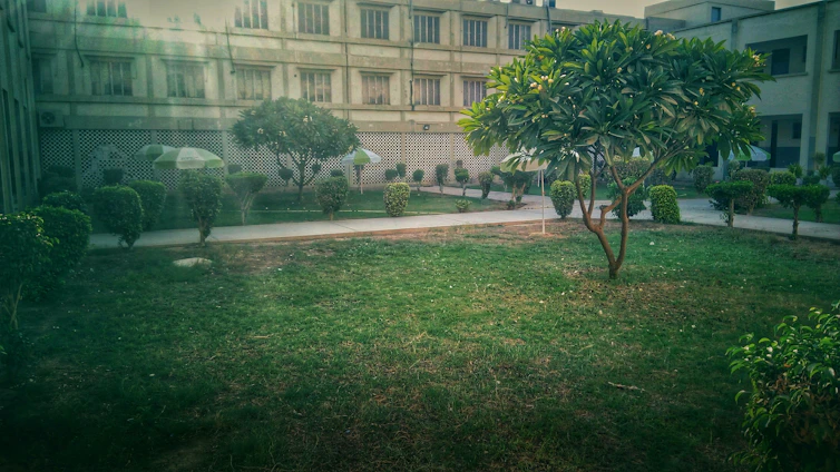 A well-maintained courtyard featuring lush green grass and neatly trimmed bushes. A concrete pathway divides the area, bordered by several trees offering shade. In the background, there is a multi-story building with a grid-like pattern on its facade and multiple windows.