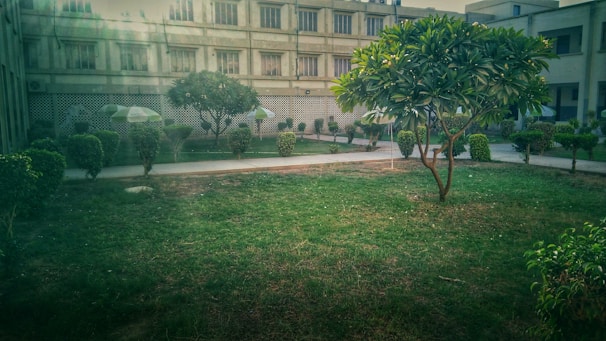 A well-maintained courtyard featuring lush green grass and neatly trimmed bushes. A concrete pathway divides the area, bordered by several trees offering shade. In the background, there is a multi-story building with a grid-like pattern on its facade and multiple windows.