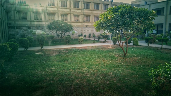 A well-maintained courtyard featuring lush green grass and neatly trimmed bushes. A concrete pathway divides the area, bordered by several trees offering shade. In the background, there is a multi-story building with a grid-like pattern on its facade and multiple windows.