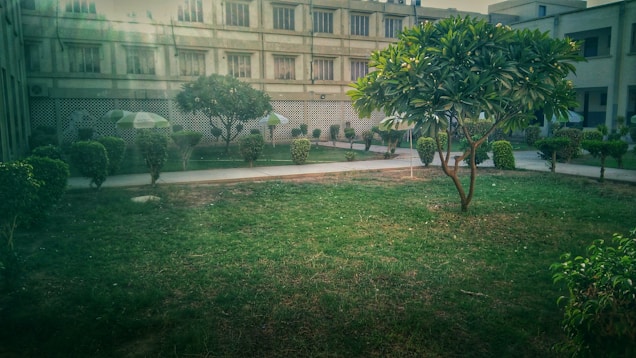 A well-maintained courtyard featuring lush green grass and neatly trimmed bushes. A concrete pathway divides the area, bordered by several trees offering shade. In the background, there is a multi-story building with a grid-like pattern on its facade and multiple windows.