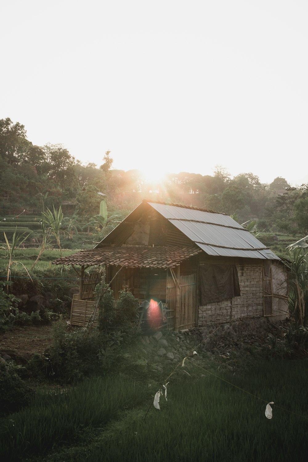 brown nipa hut near plants during daytime