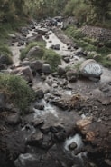 A small, rocky stream flows through a lush, green area with scattered boulders and patches of grass. A group of people is visible in the distance, gathered near the water. The stream meanders through a natural landscape surrounded by dense vegetation. One of the rocks has graffiti on it with the letters 'WCSD'.
