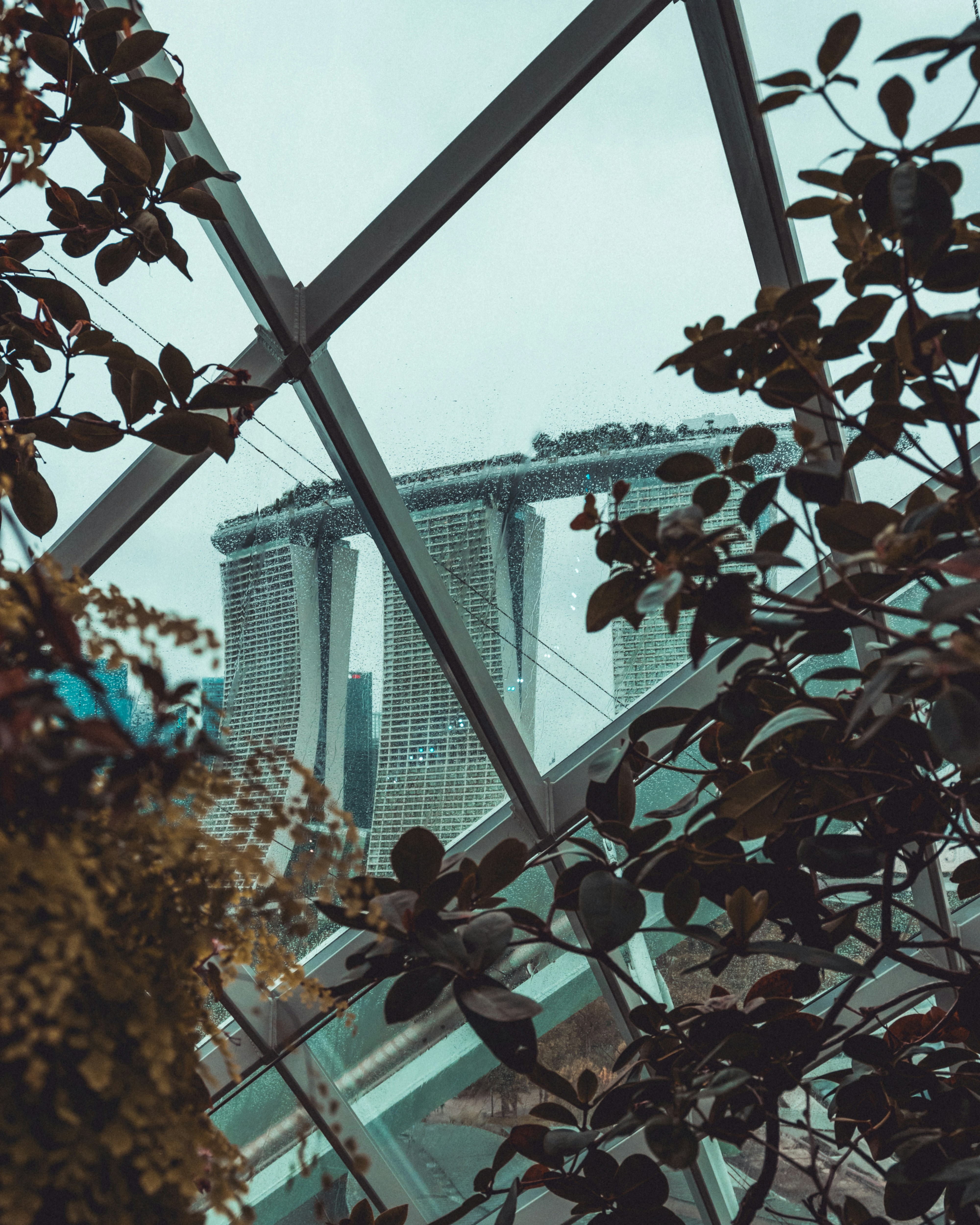 Photo by zhuzhutrain