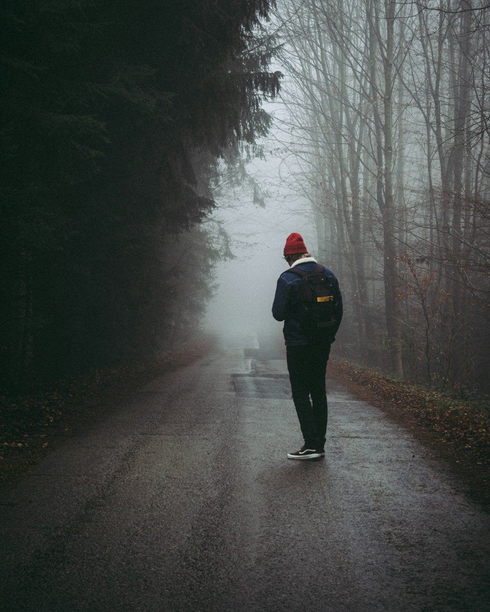 person walking on road beside forest