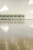 A row of seven green, intricately designed chairs is aligned against a plain beige wall with angular white windows. The glossy tiled floor reflects the chairs and windows, creating a calm and symmetrical appearance.