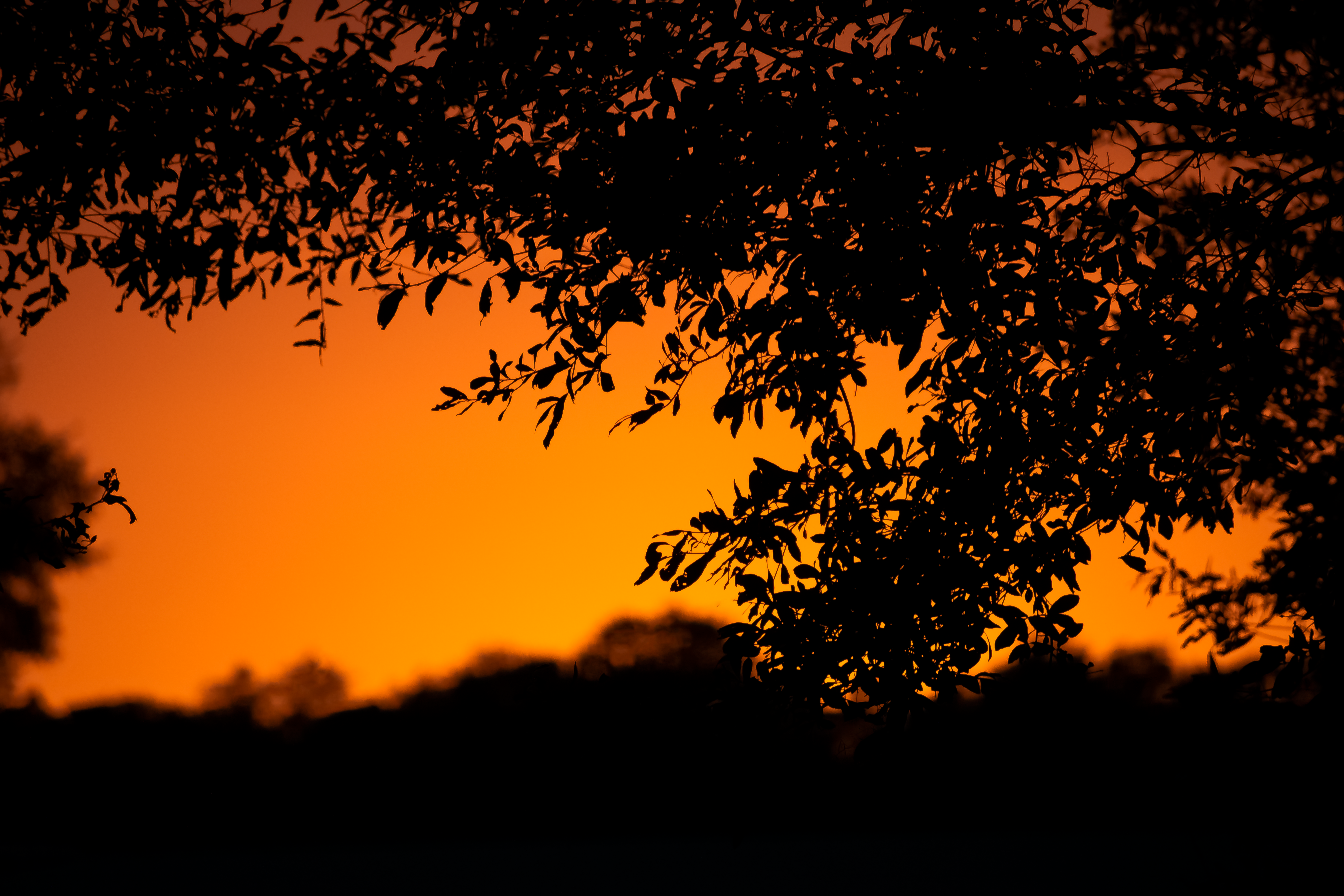 Photo by jimmymoldenhauer