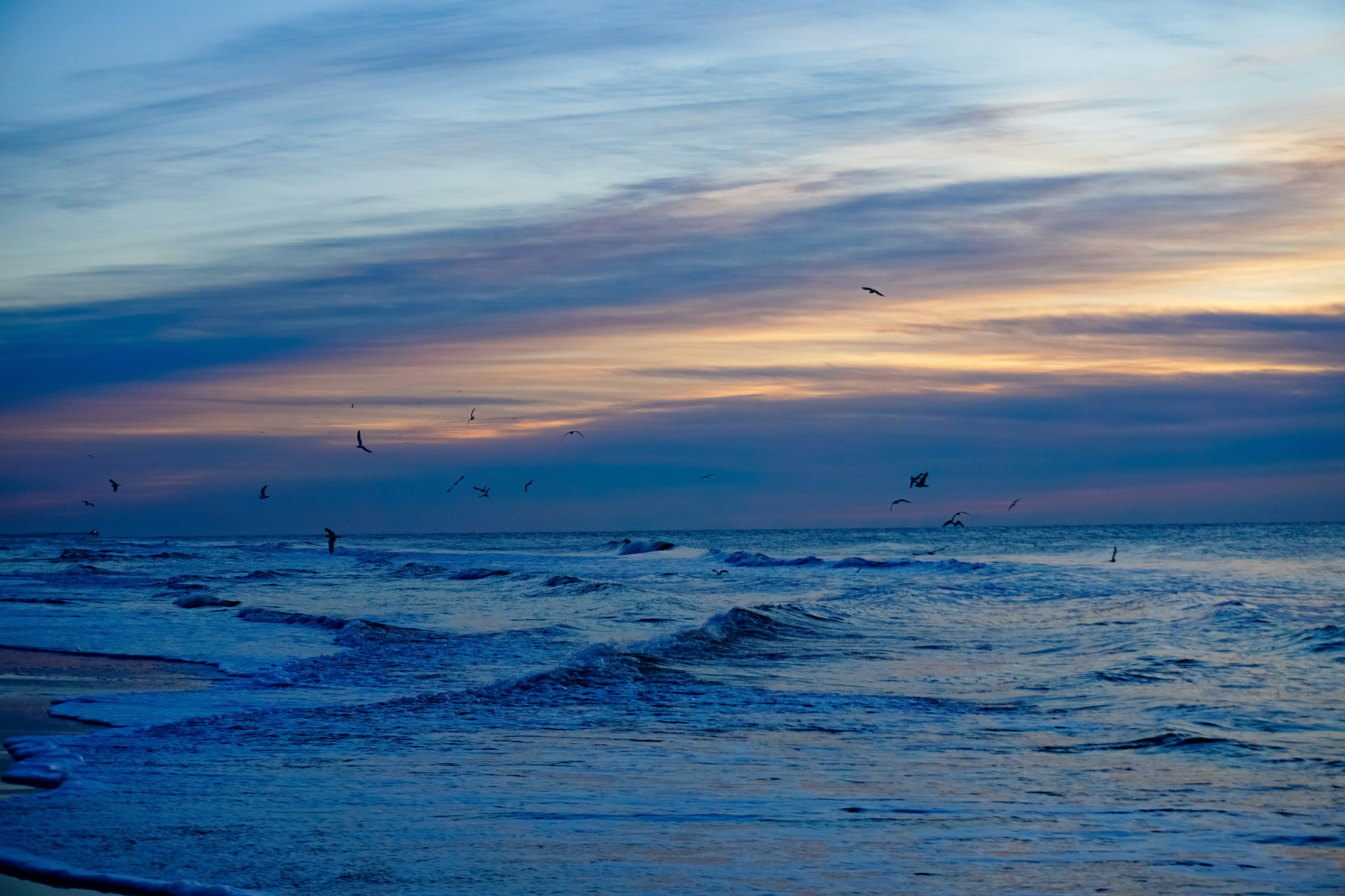 Photo by killamilla56