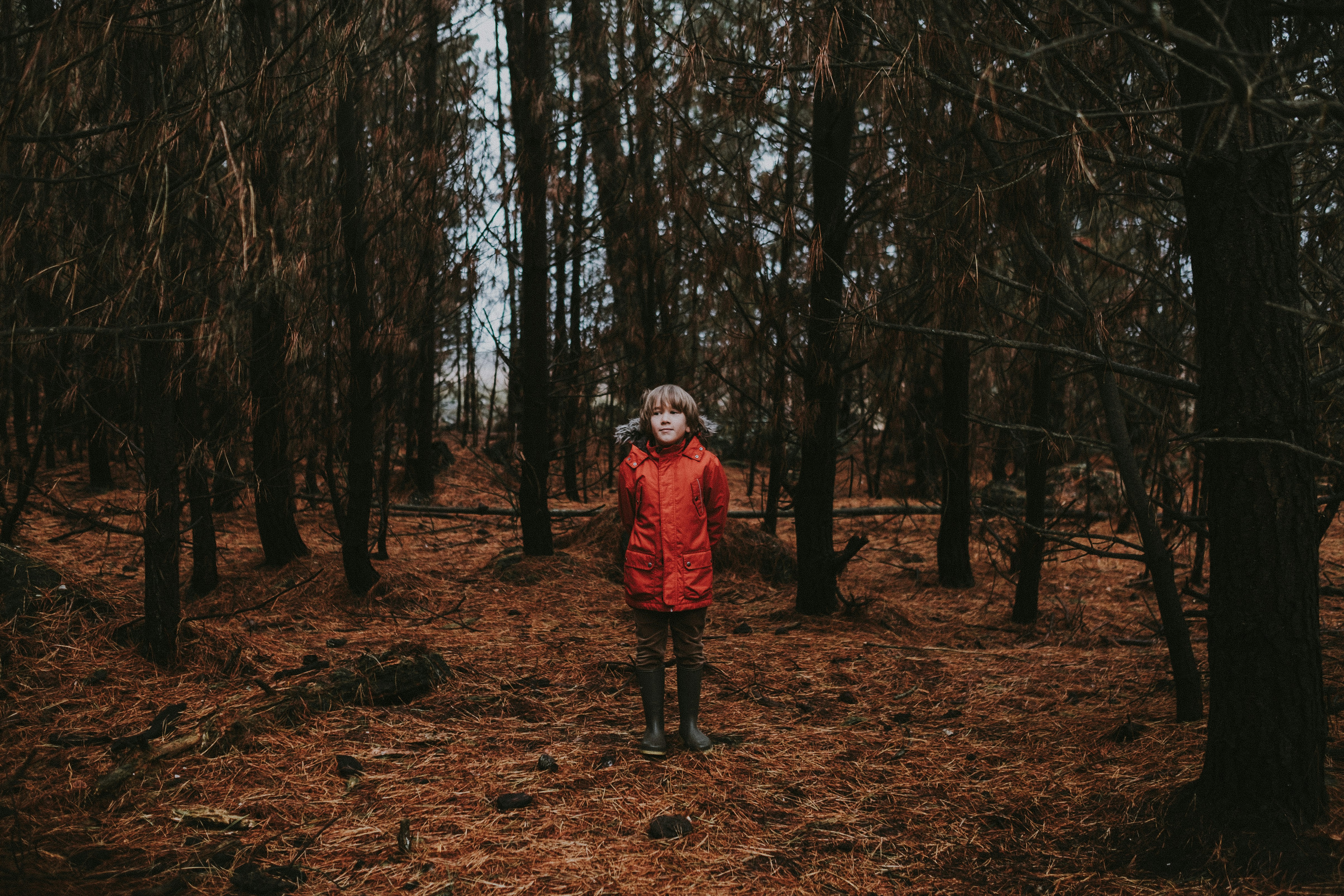 Photo by anniespratt