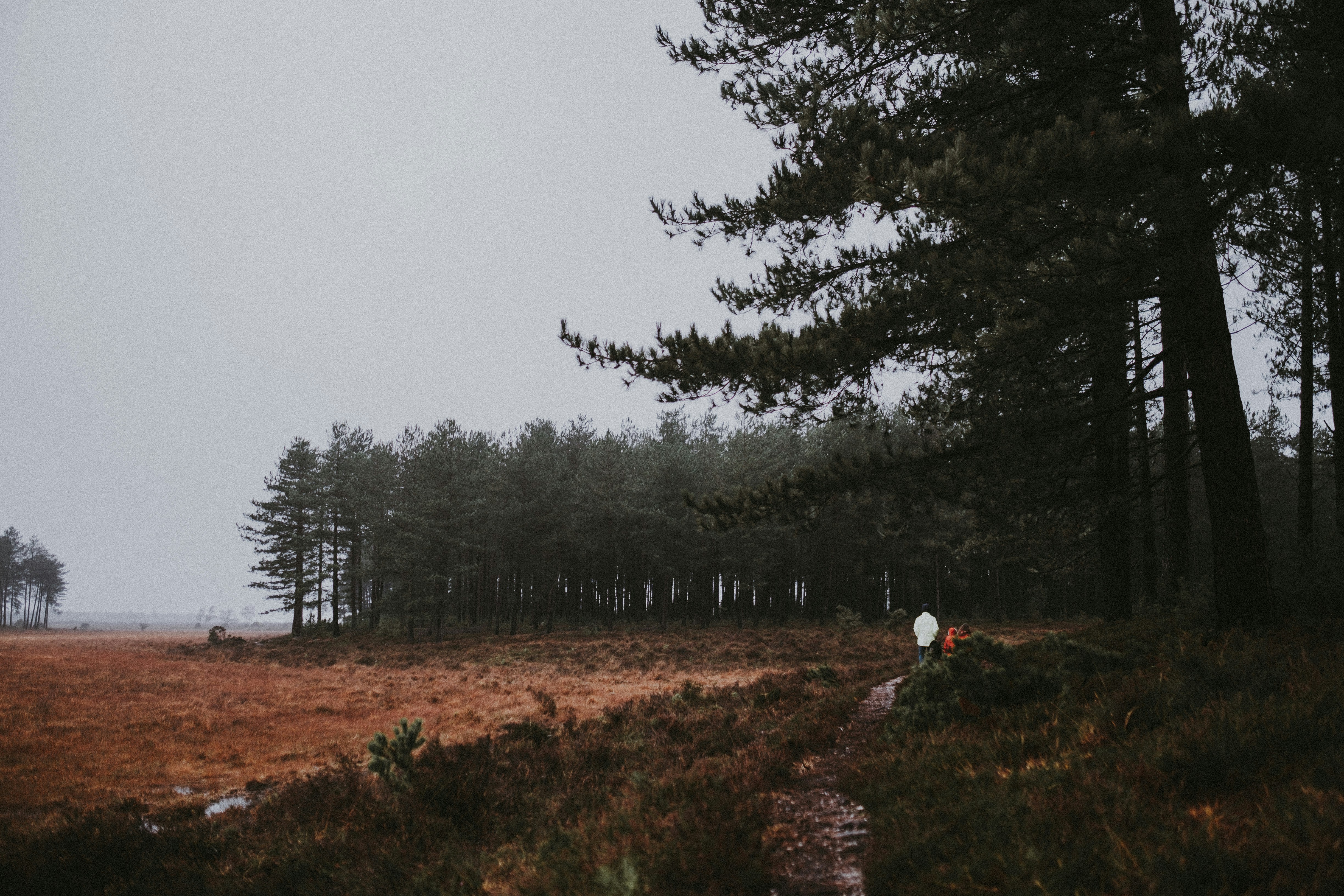 Photo by anniespratt