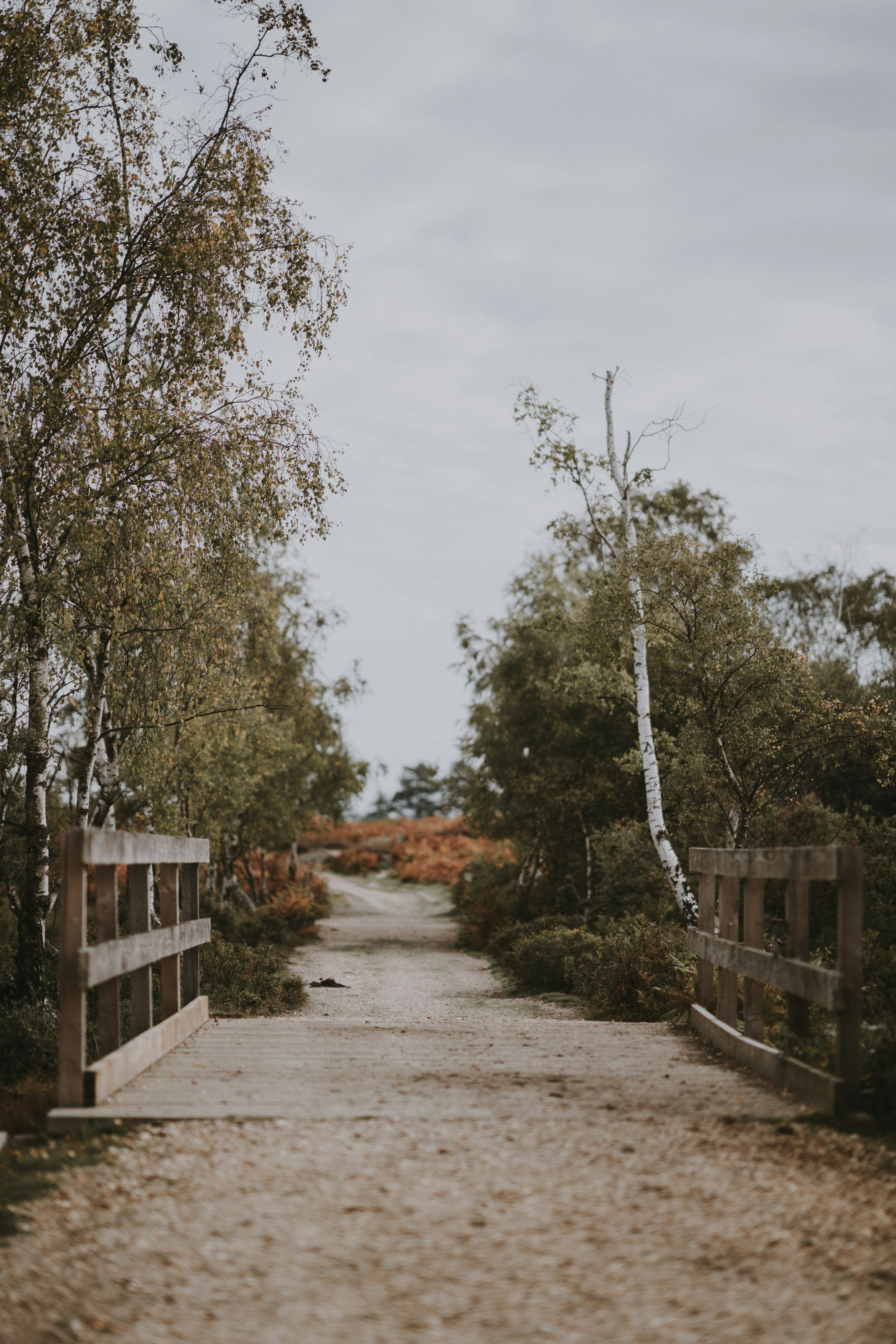 Photo by anniespratt