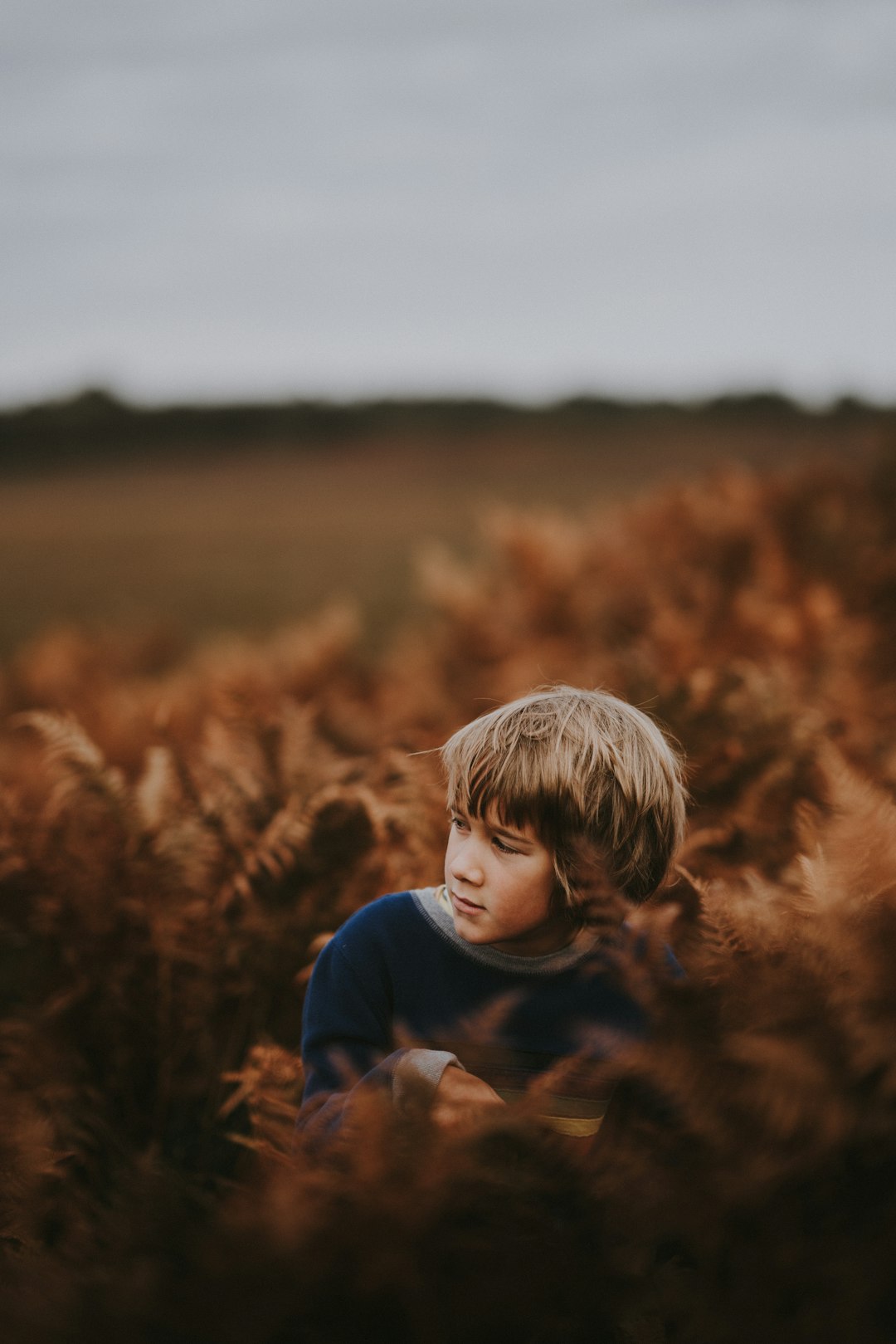 boy on brown leaf field during day