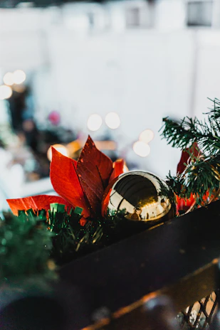 Elegant floral arrangement with warm golden Christmas lights in a cozy decorated room.