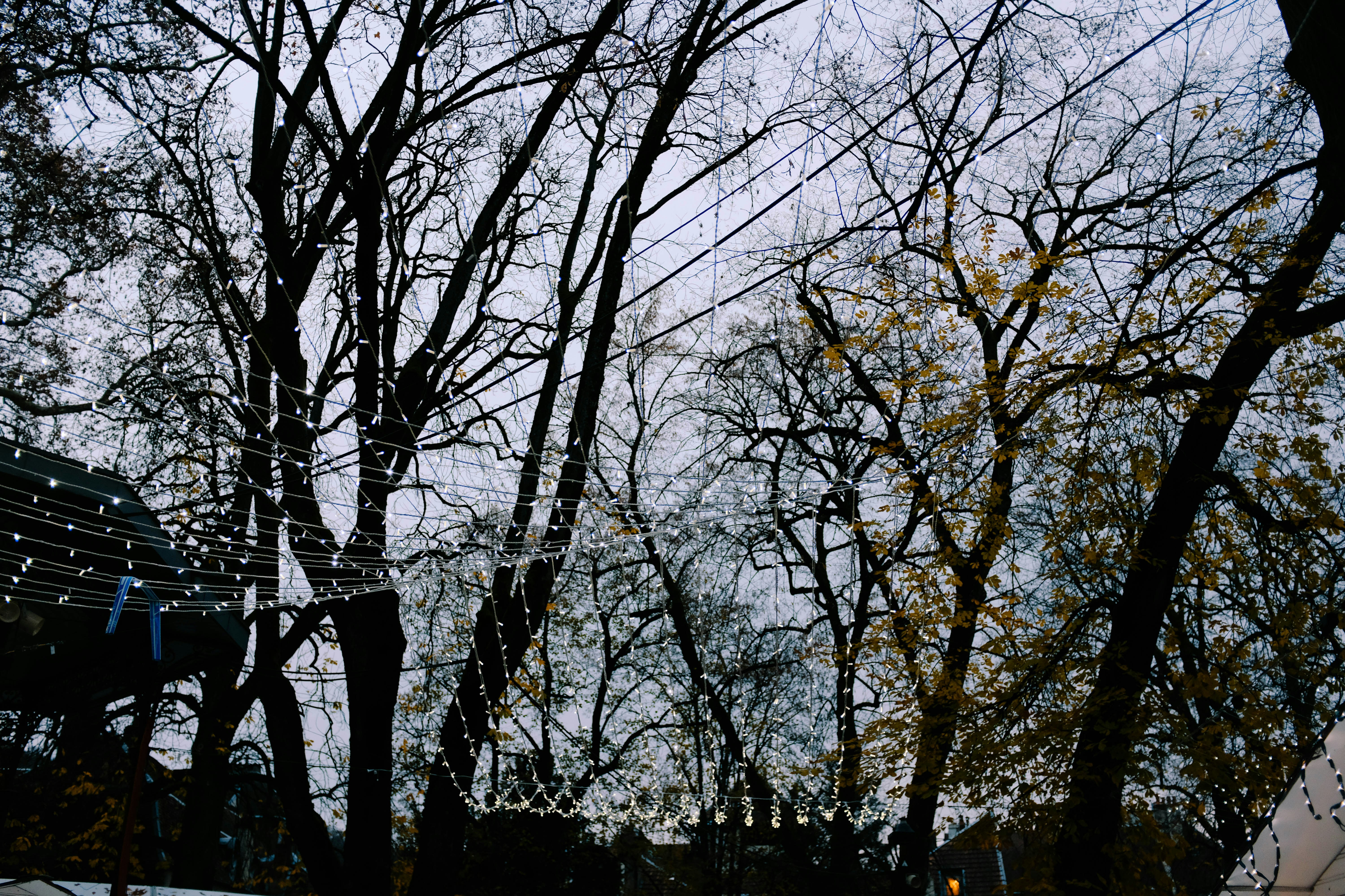 Photo by adrienolichon