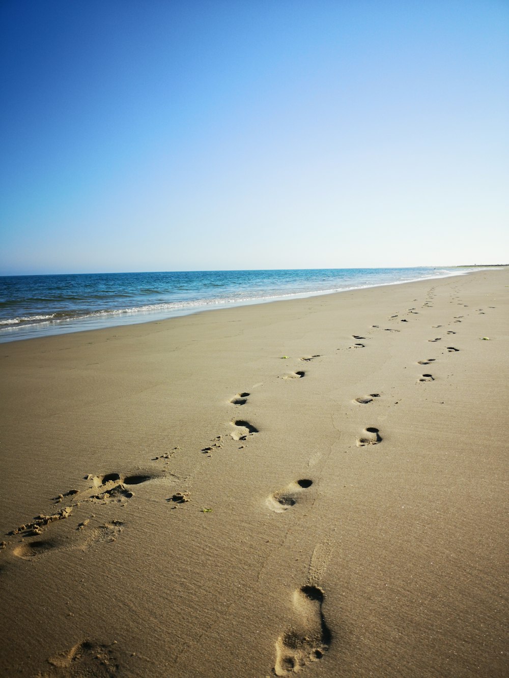 footprints in asnd