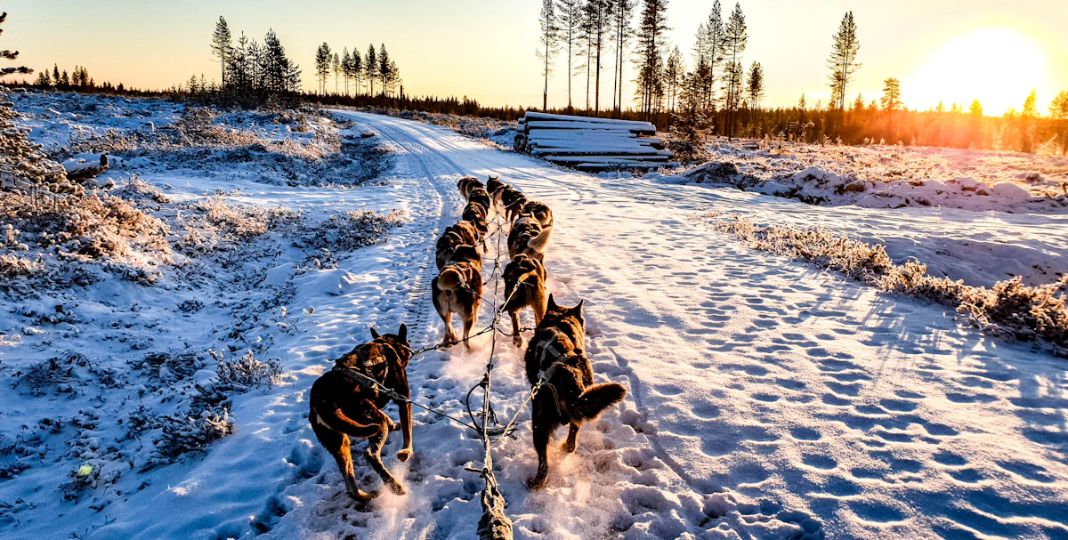 Nordic spa Lapland