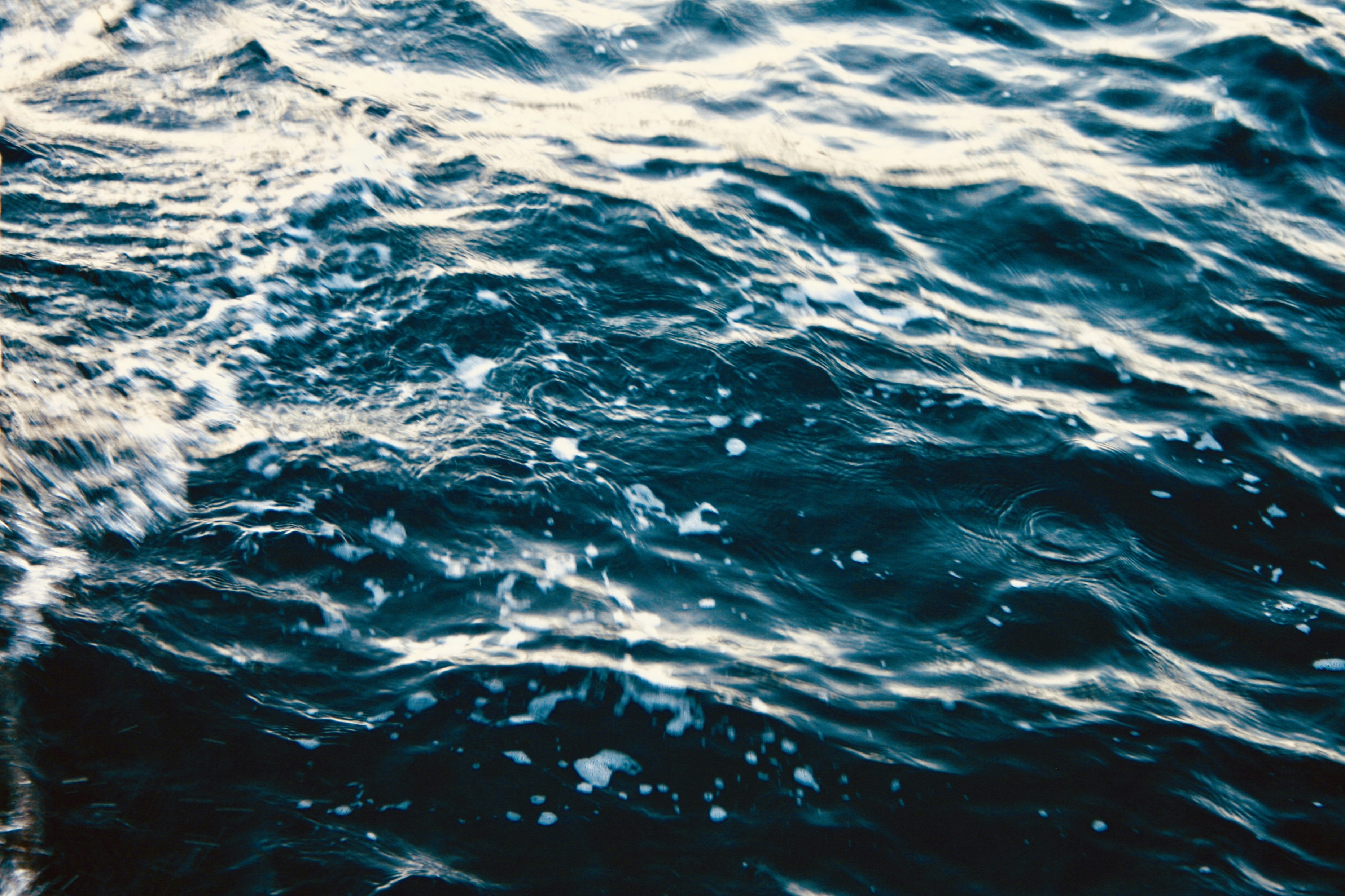 Photo by steffi_stroeme00