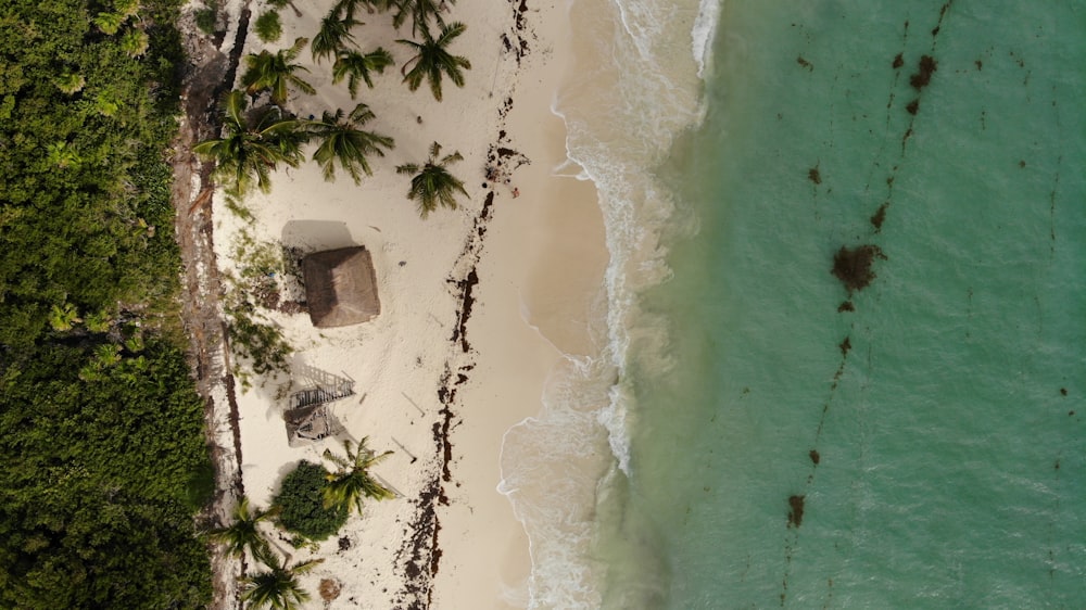 aerial photo of the beach during daytime