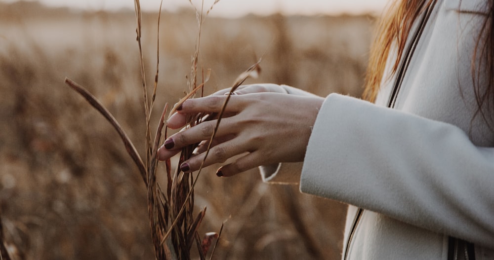 person touching dried leaves