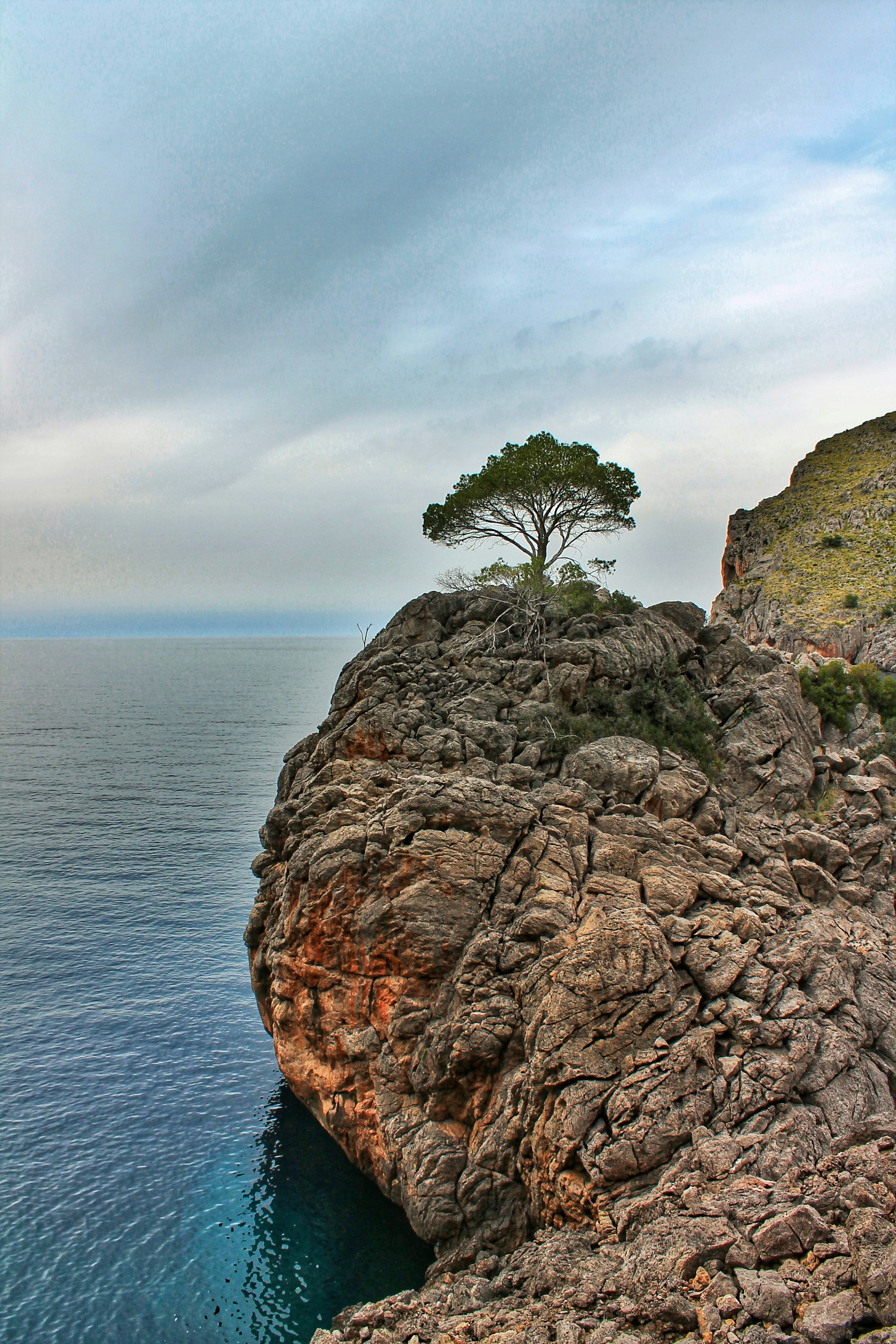 Photo by filipa_sofia_sampaio