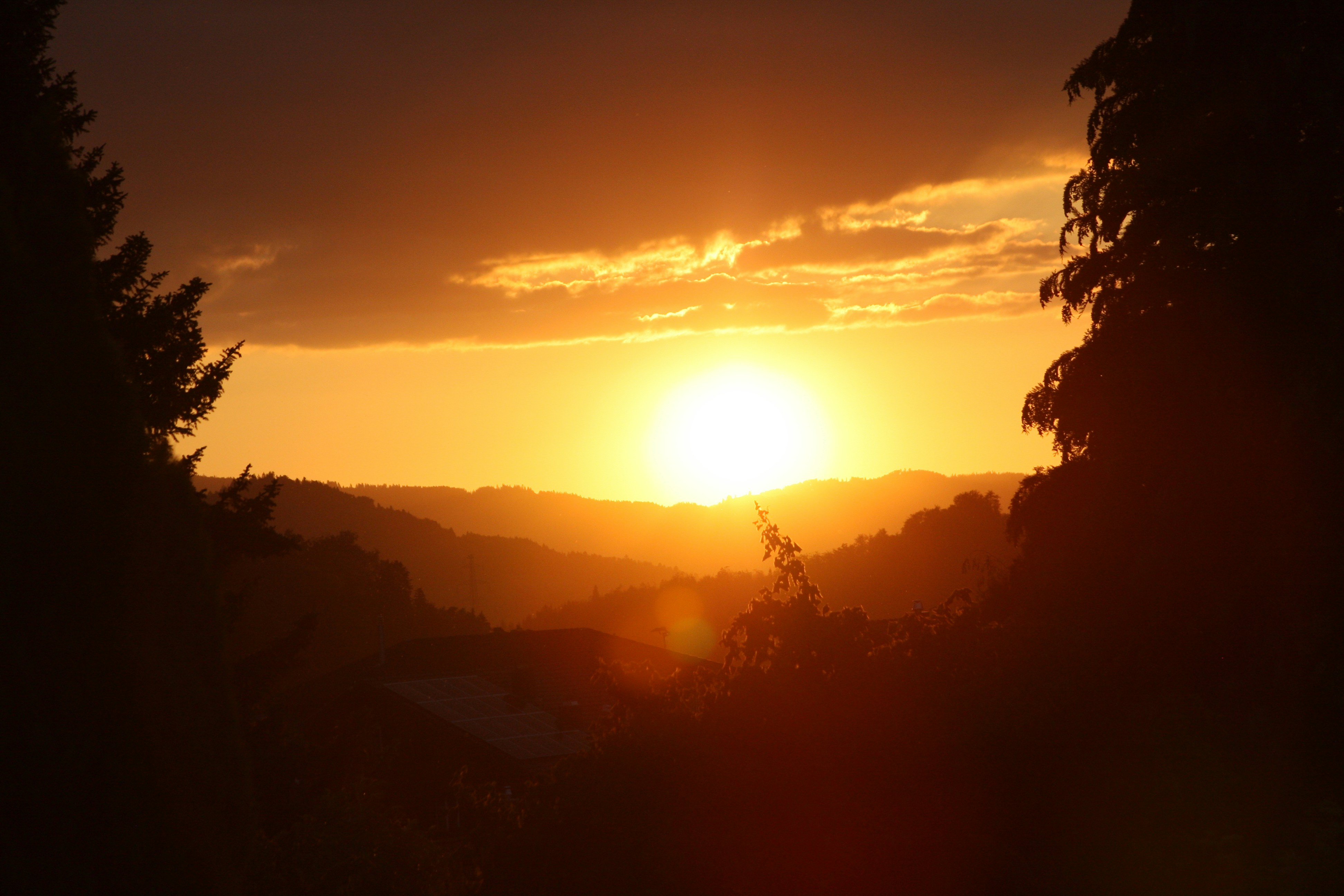 Photo by melanie_kreutz