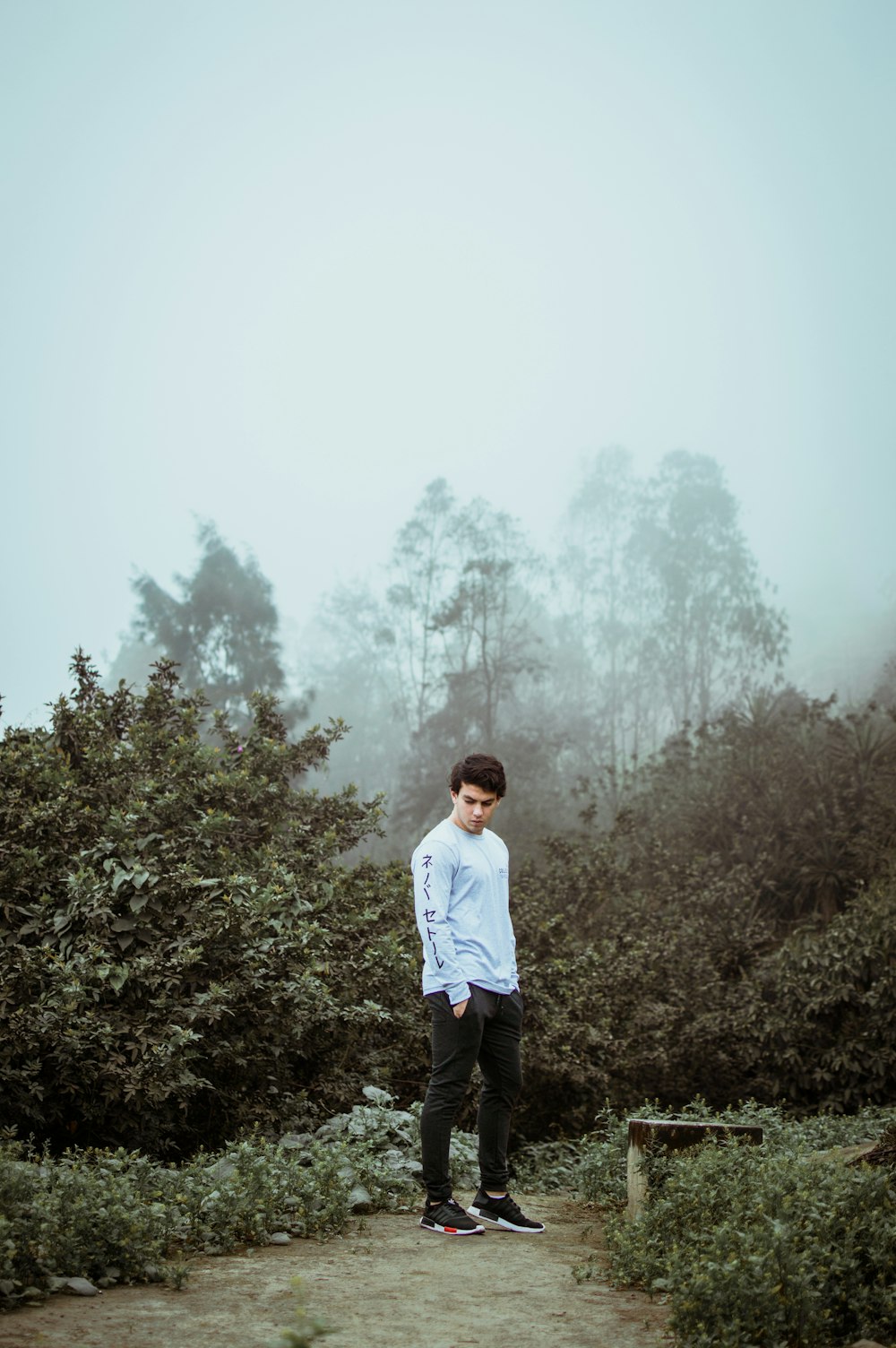 man in white long sleeves shirt standing at the garden with fogs overhead