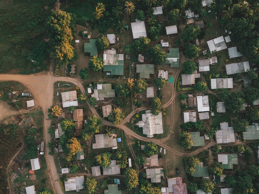 aerial photography of houses and trees