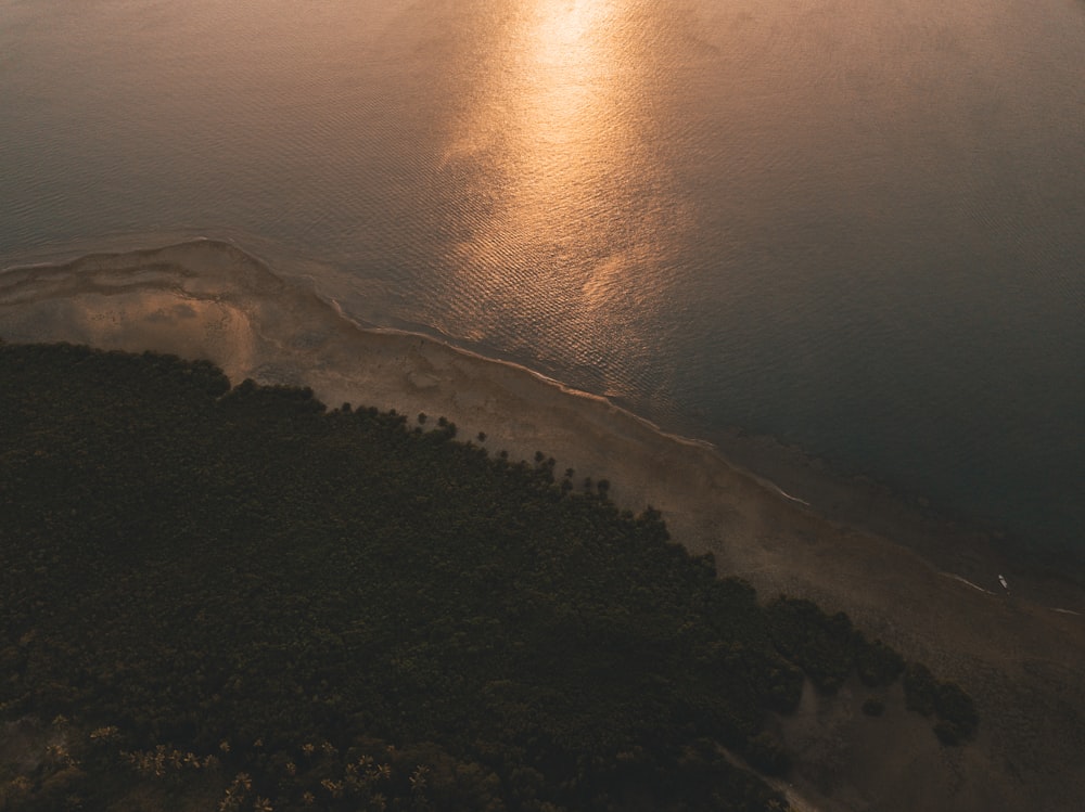 bird's-eye view of seashore