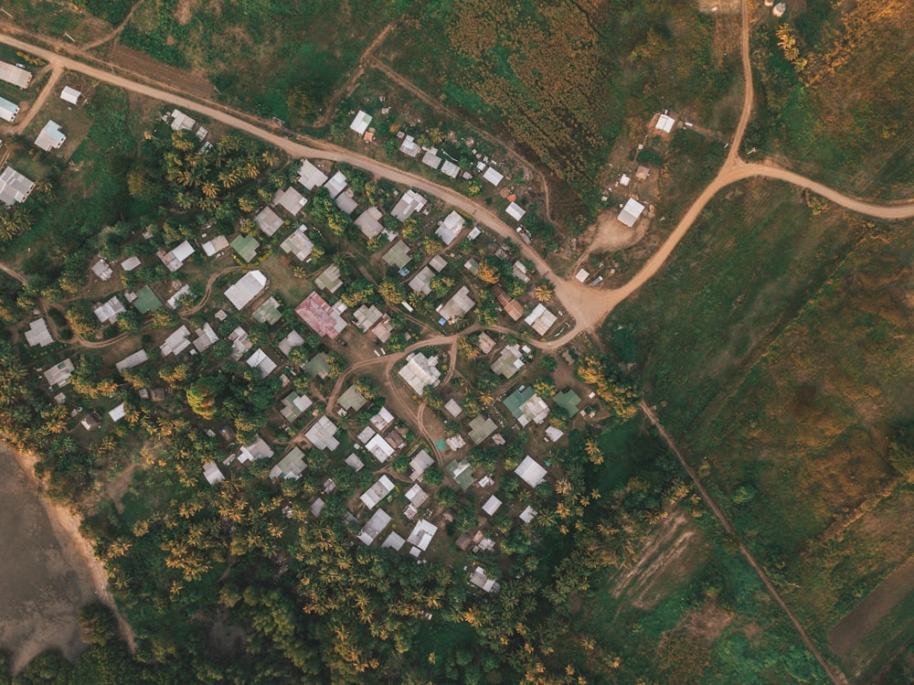 aerial photo of city skyline