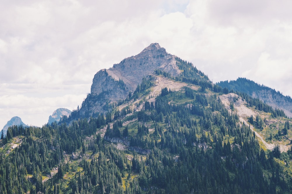 high-angle photography of mountain covered with green leafed trees