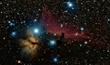A stunning view of a starry night sky with a large number of bright stars scattered across the image. In the center, a bright blue star stands out among a nebula with purplish and dark blue hues. The nebula is visually captivating with intricate textures and patterns, while darker areas suggest dense cosmic material.