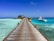 A wooden boardwalk extends over clear turquoise waters, leading to a thatched-roof structure over the ocean. Large potted plants line the pathway, and a white boat labeled 'parasailing' is moored in the water nearby.