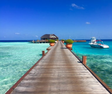 brown wooden dock beside white motor boat