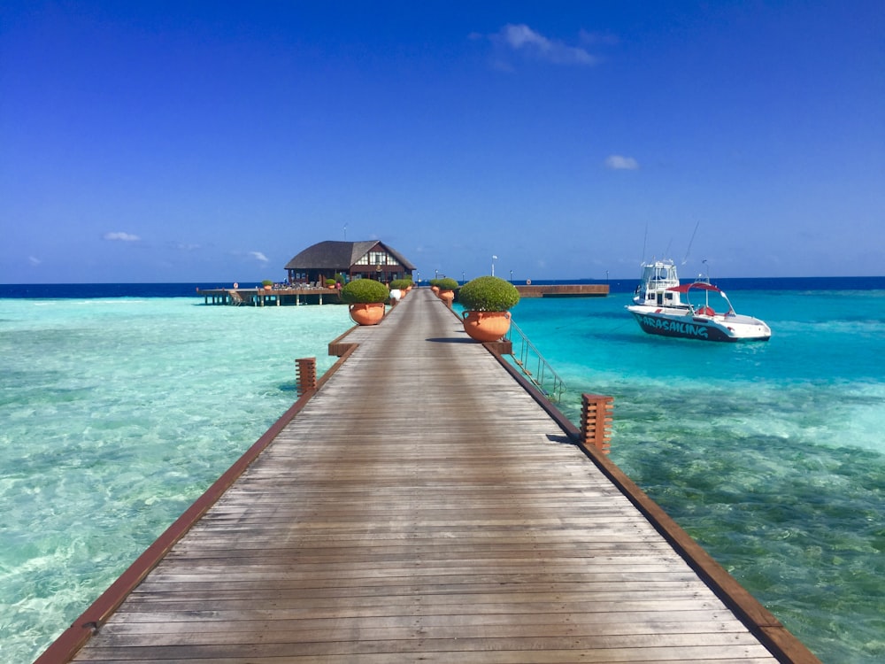 brown wooden dock beside white motor boat