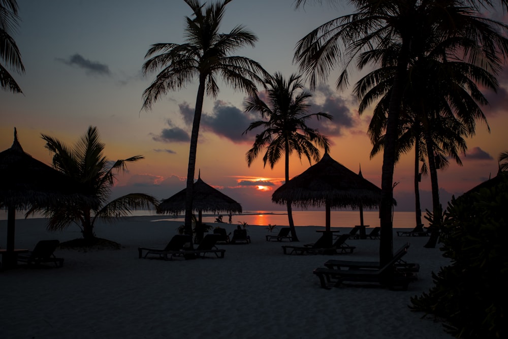 gazebo tents on shore during sunset