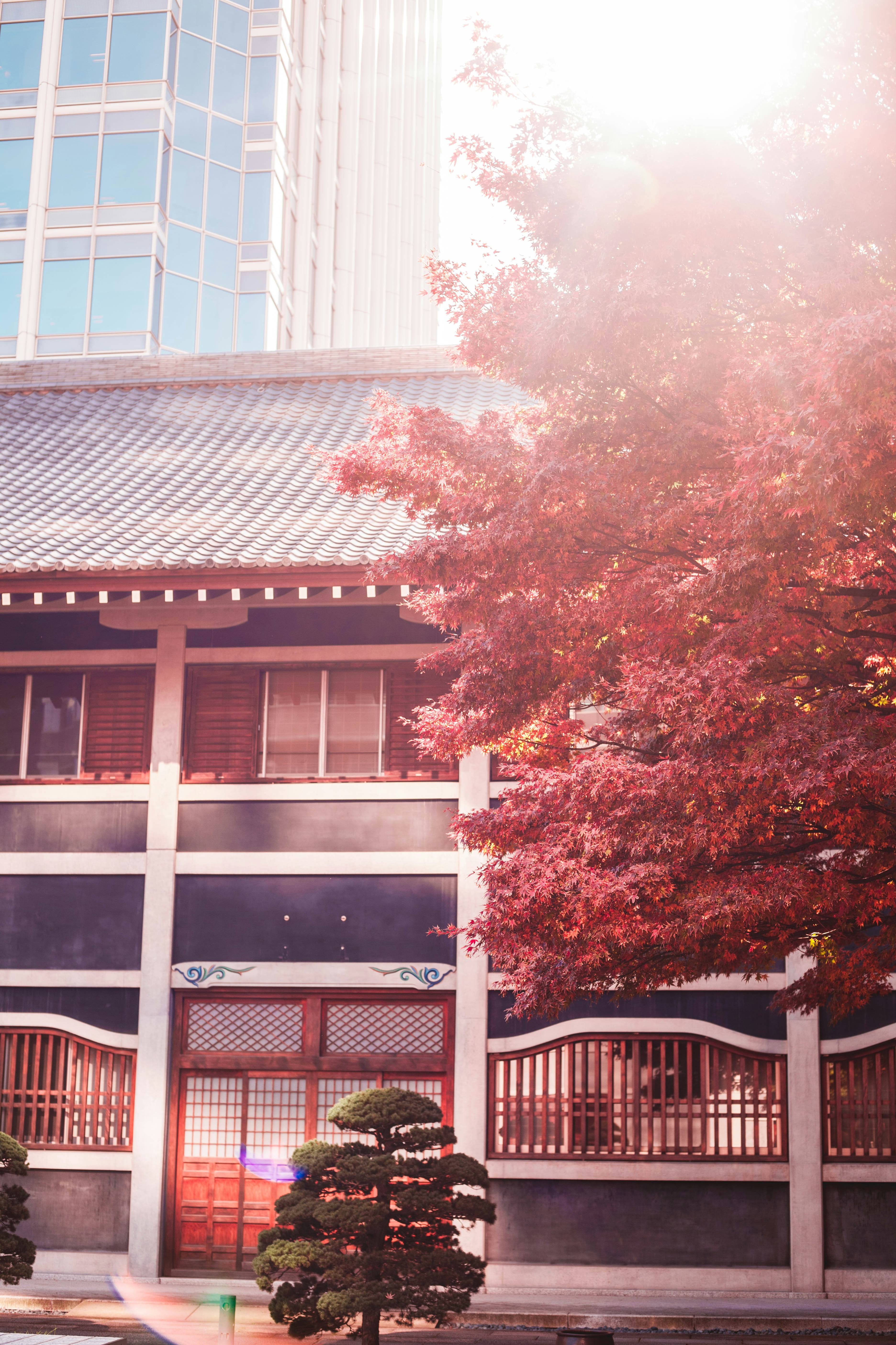 Photo by charlespostiaux