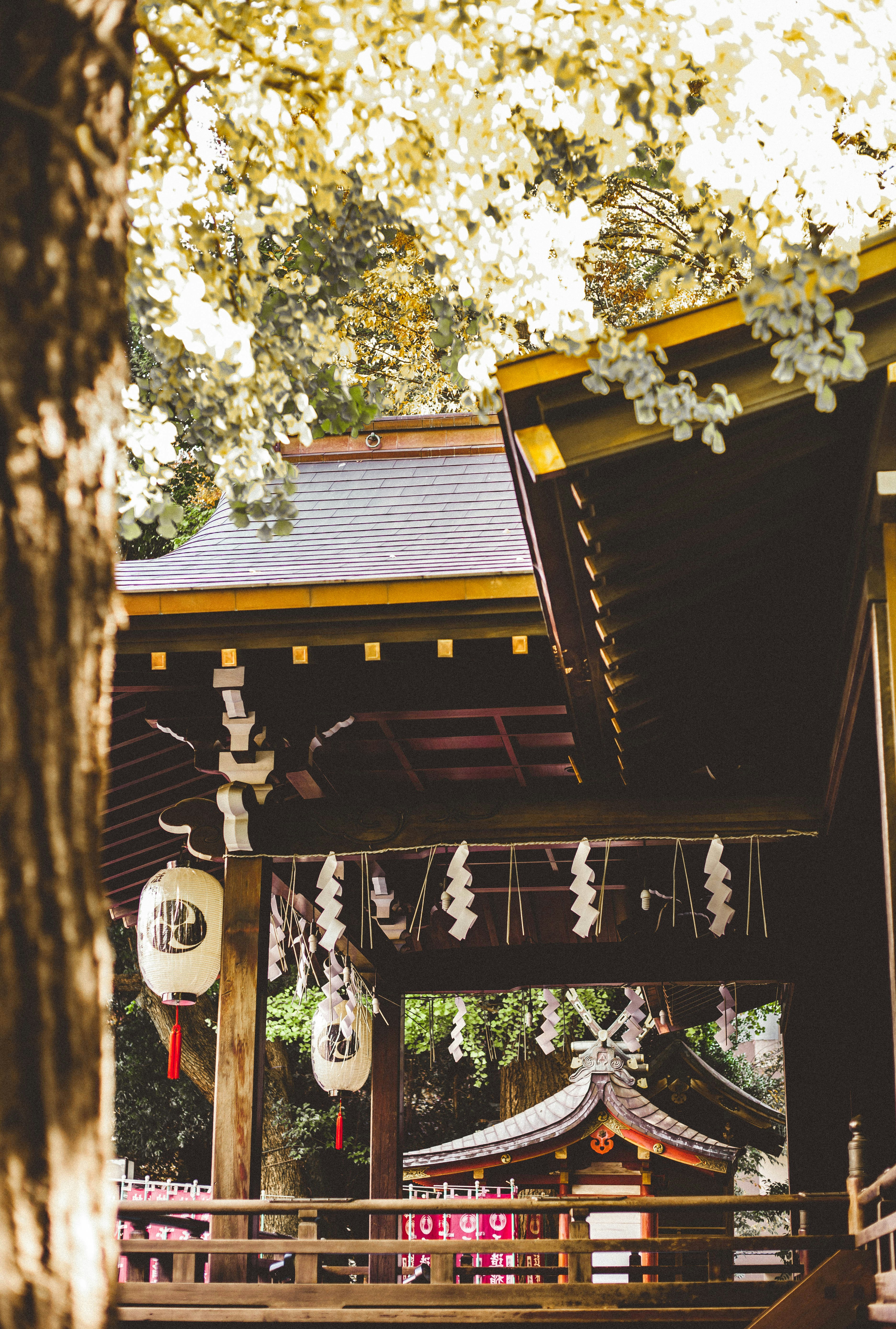 Featured image of post Full Hd Japanese Temple Wallpaper 3288 viewspacific ocean reef diver blue hole usa