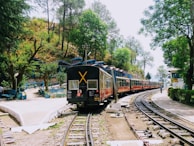 black and red train on train tracks in the forest