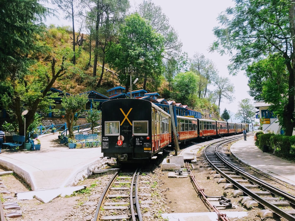 black and red train on train tracks in the forest