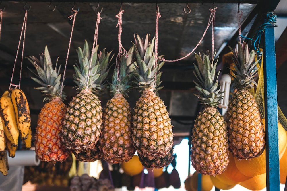 several hanging pineapples in selective focus photography